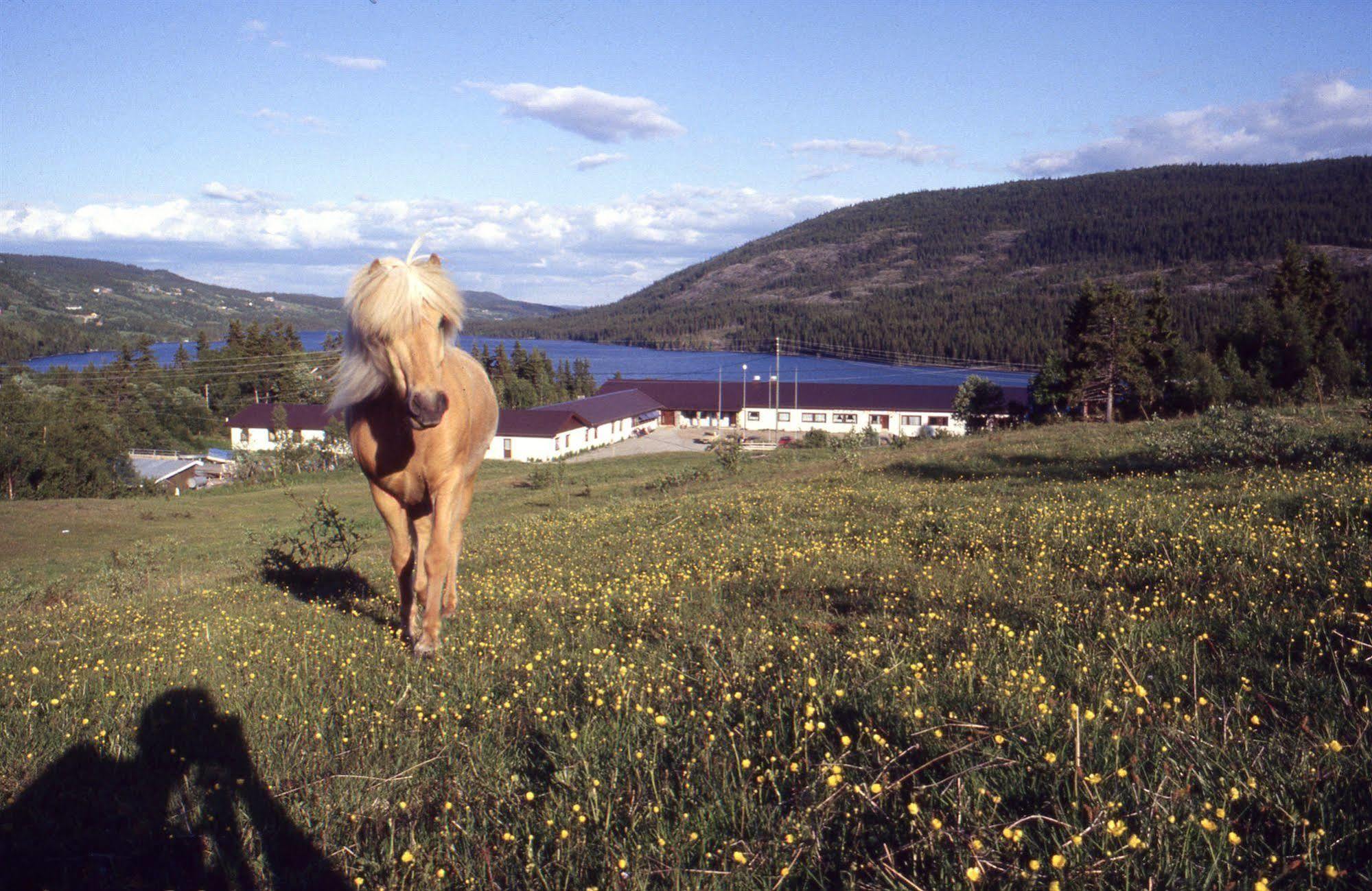 Valdres Hoyfjellshotell Steinsetbygdi Bagian luar foto